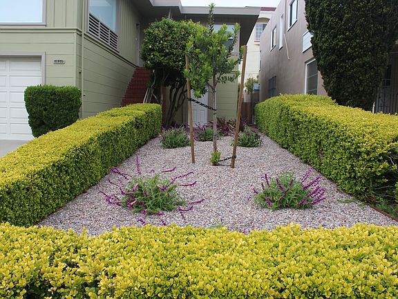 Landscaped front yard. There's a path leading to the lower level separate entrance. (white door)