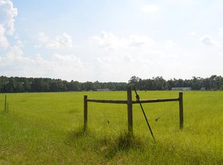847 Faceville Attapulgus Rd, Attapulgus, GA 39815