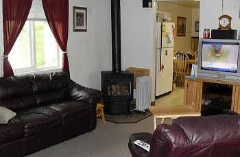 living room with propane stove