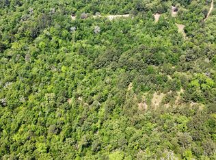 0 Private Road 2210 LOT TR 2, Buffalo, TX 75831