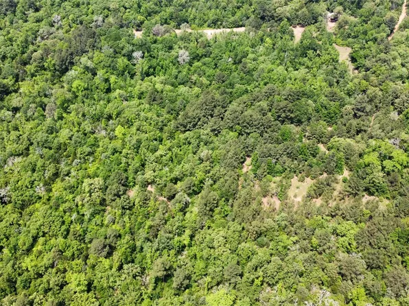 0 Private Road 2210 Lot Tr 2, Buffalo, TX 75831