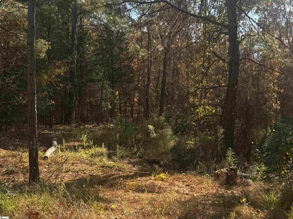 1206 Cheek Rd, Gray Court, SC 29645