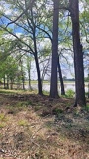 2nd image of LOT 54 White Oak Creek Rnch