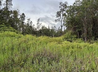 11-3028 Pikake St, Mountain View, HI 96771