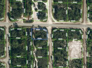 1066 Helmsley St, Lake Placid, FL 33852