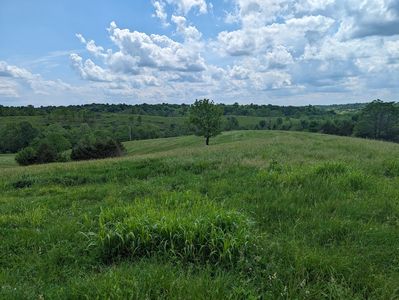 1005 Alford Rd, Salvisa, KY, 40372
