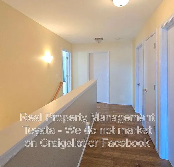 4814 Starfish Ln — Photo 17
