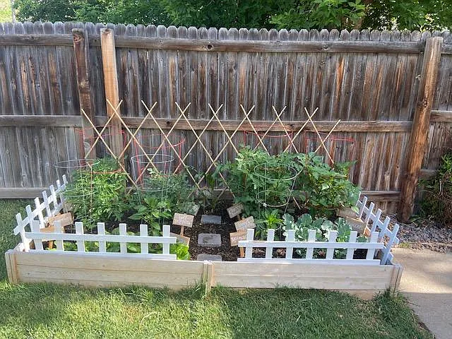 Irrigated space for garden