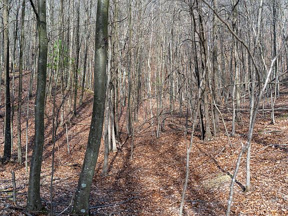 5th image of Walnut Ridge Rd SE