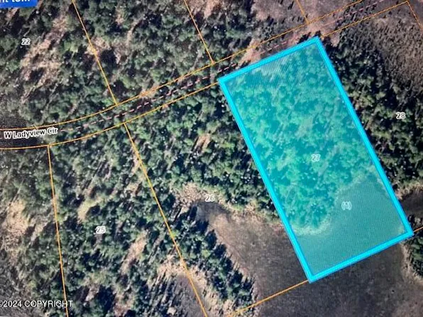 L27 W Lady View Cir, Skwentna, AK 99667