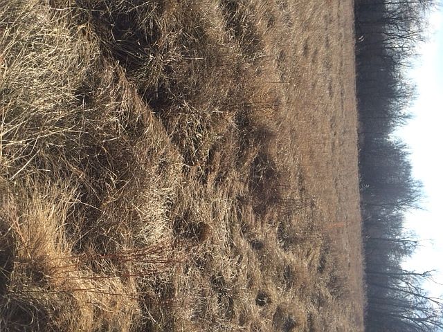 2nd image of Randolph County 61 Acres