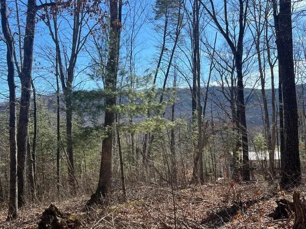 1012 Country Mountain Rd, Cosby, TN 37722