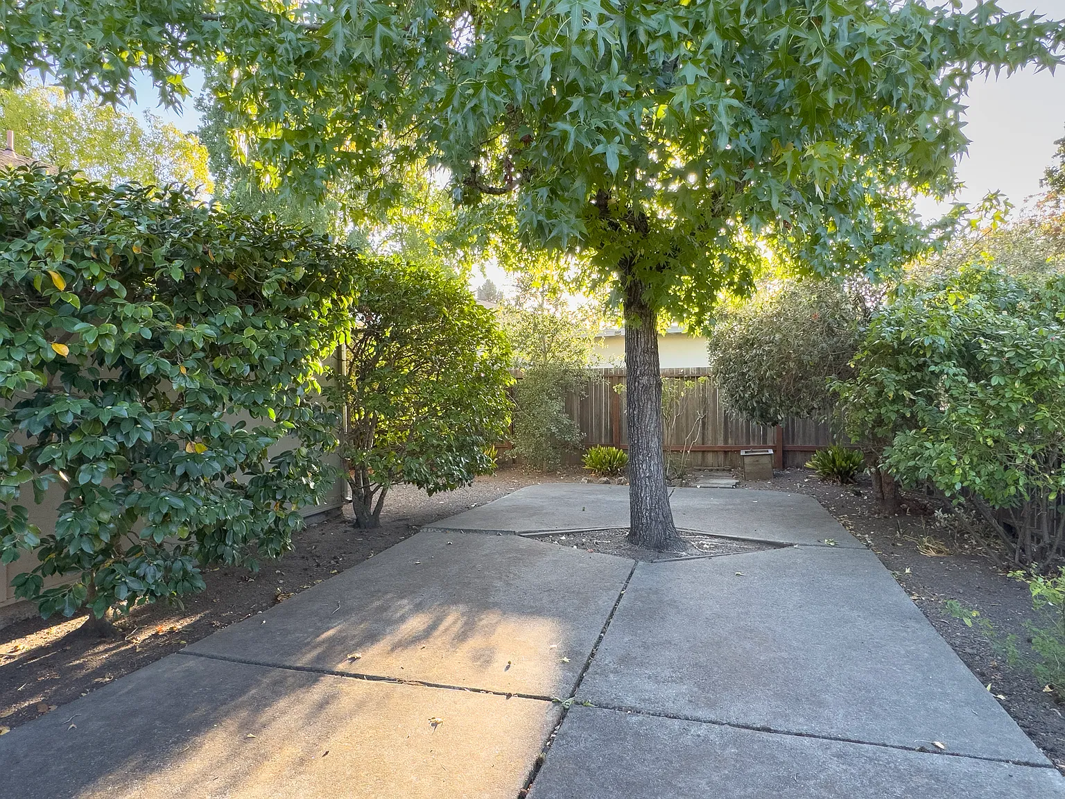 2 bed, 1408 sqft, $3,000 — Photo 4