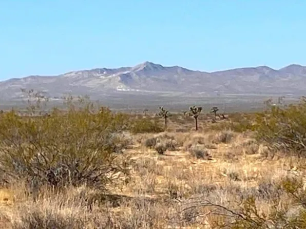 1 Shelby Rd Lot 169, Helendale, CA 92342