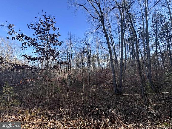 5th image of 0 Buggy Ln