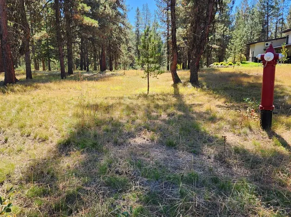 15 Vernon Ct, McCall, ID 83638