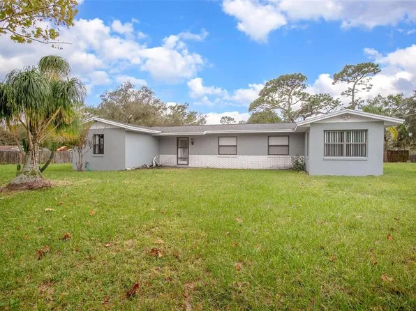 650 Cracker Ave, Osteen, FL 32764