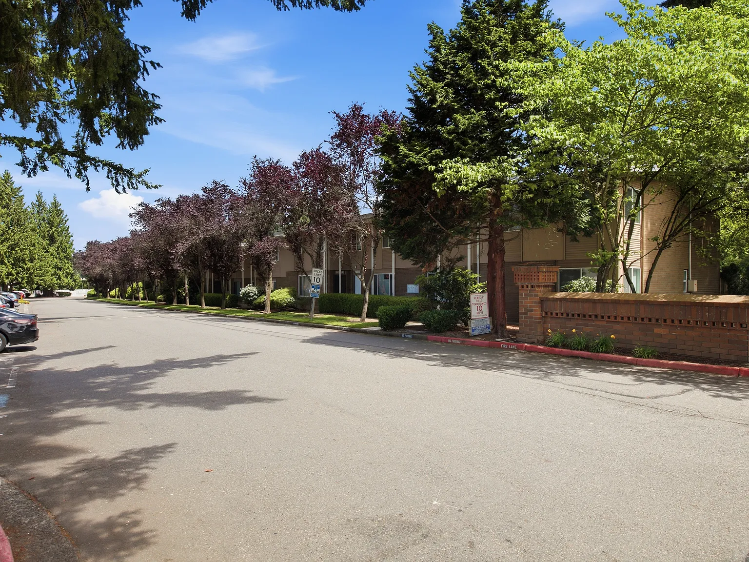 3 bed, 1.5 bath, 1105 sqft, $2,900 — Photo 2