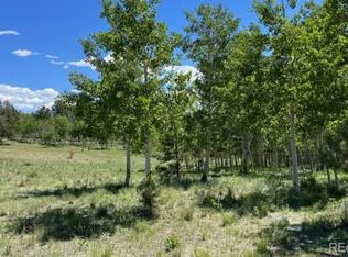 542 Deerview Dr LOT 532, Guffey, CO 80820