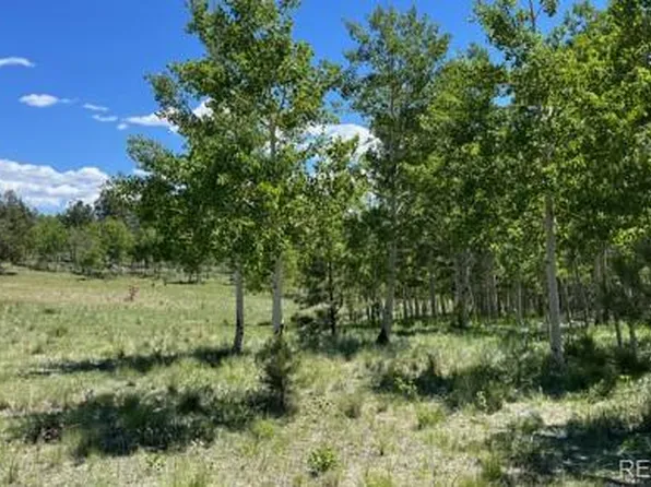 542 Deerview Drive LOT 532, Lake George, CO 80827