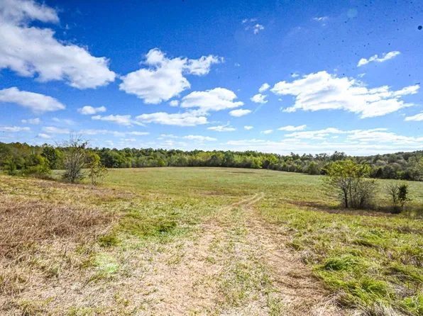 0 County Road 8390 #Wp001, West Plains, MO 65775