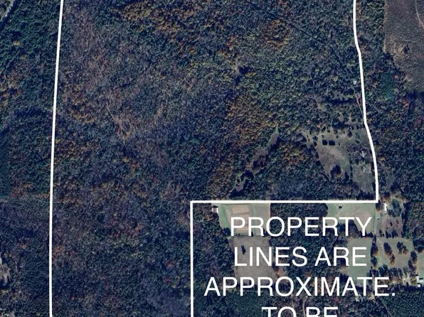 County Road 1240 #&-1241, Linden, TX 75563