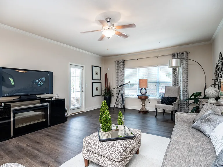 Furnished model living room