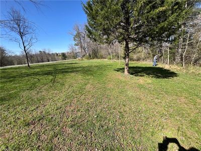 295 Shepherds Farm Rd, North Wilkesboro, NC, 28659