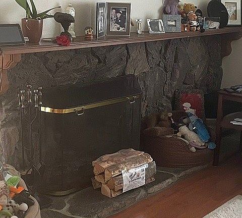 Living Room Fireplace