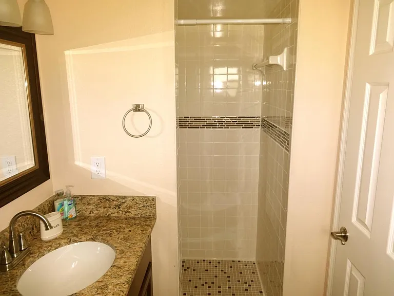 Master Bath Walk-in Shower