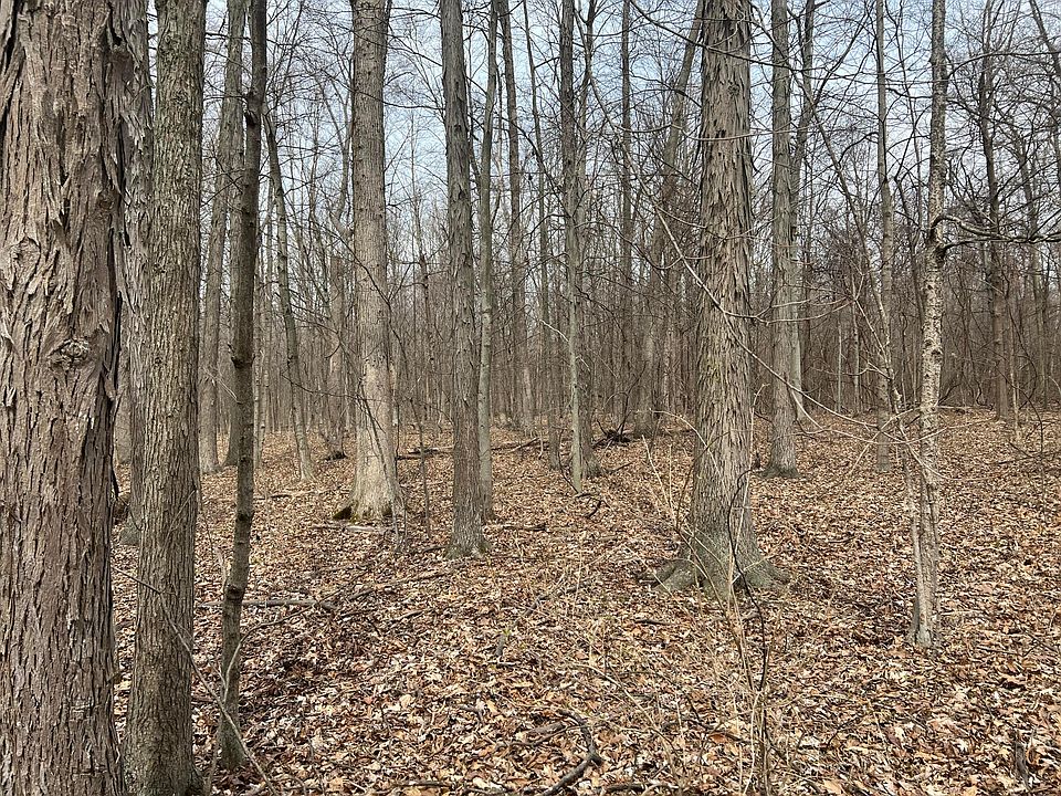 2nd image of 0 County Road 170 Rd