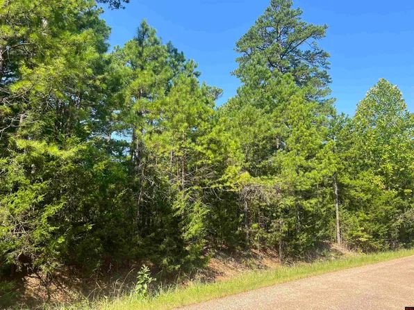 002-11156-206 Arapaho Dr, Calico Rock, AR 72519