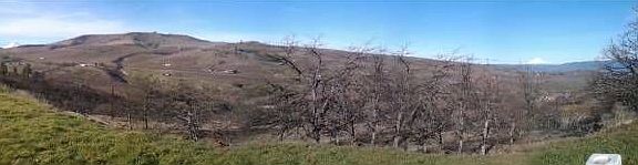 Panoramic of back yard