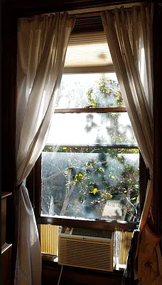 Rented by Harriet Brand, LREB | media 14