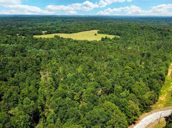 0 Butler Rd, Pinson, TN 38366