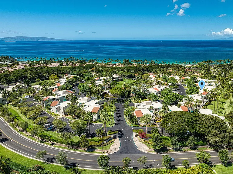 Wailea Alanui Dr — Photo 23