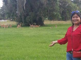 238 Stage Coach Trl, Angleton, TX 77515