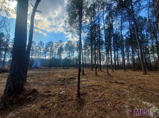 25675 Clyde Blount Rd, Livingston, LA 70754