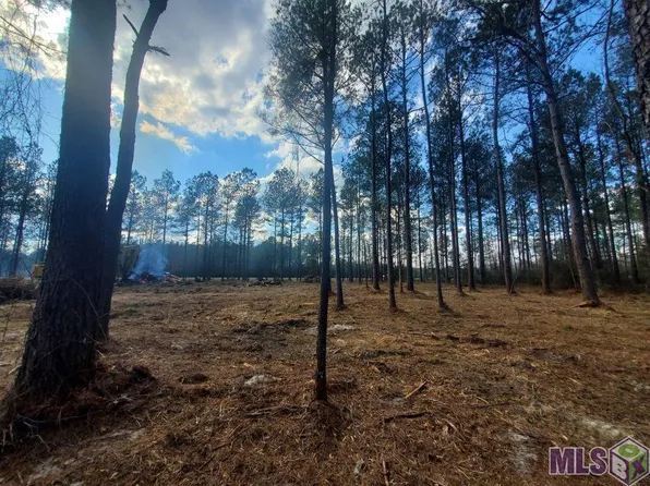 25675 Clyde Blount Rd, Livingston, LA 70754