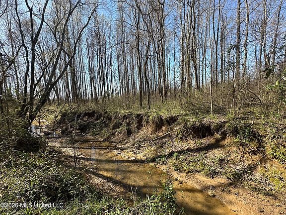 2nd image of 0 Wildwood Rd