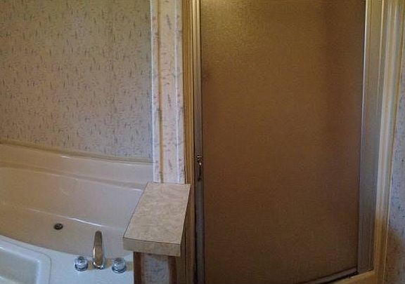 Master Tub and Shower