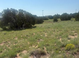 5064 Concho Dr #385, Concho, AZ 85924