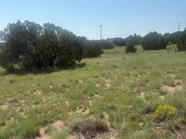5064 Concho Dr #385, Concho, AZ 85924
