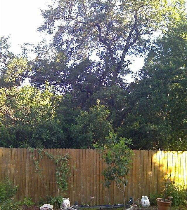 1st image of 806 Magnolia Mist