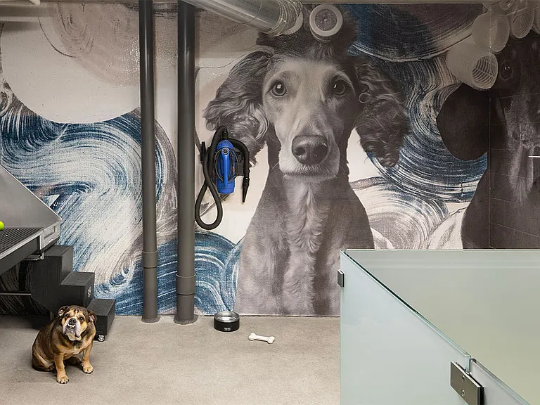 Pet Washing Station