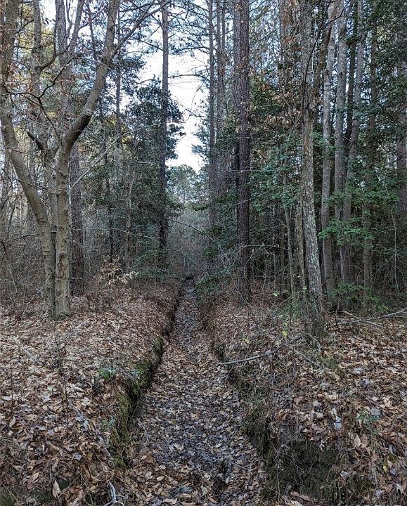 0 Ridgefield Rd Mathews VA Zillow