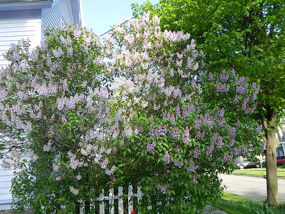 Exterior Spring 2015