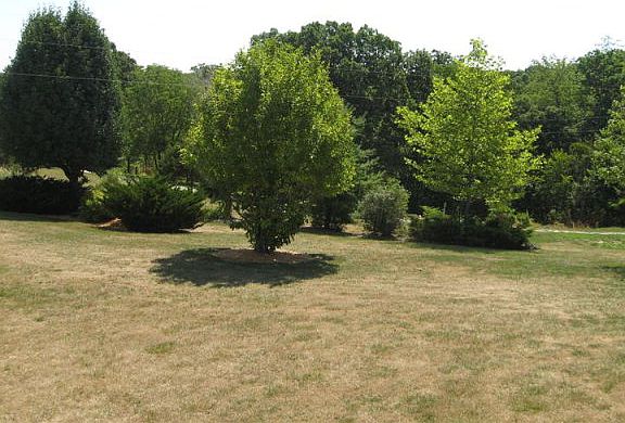 4th image of 12012 County Road 4003