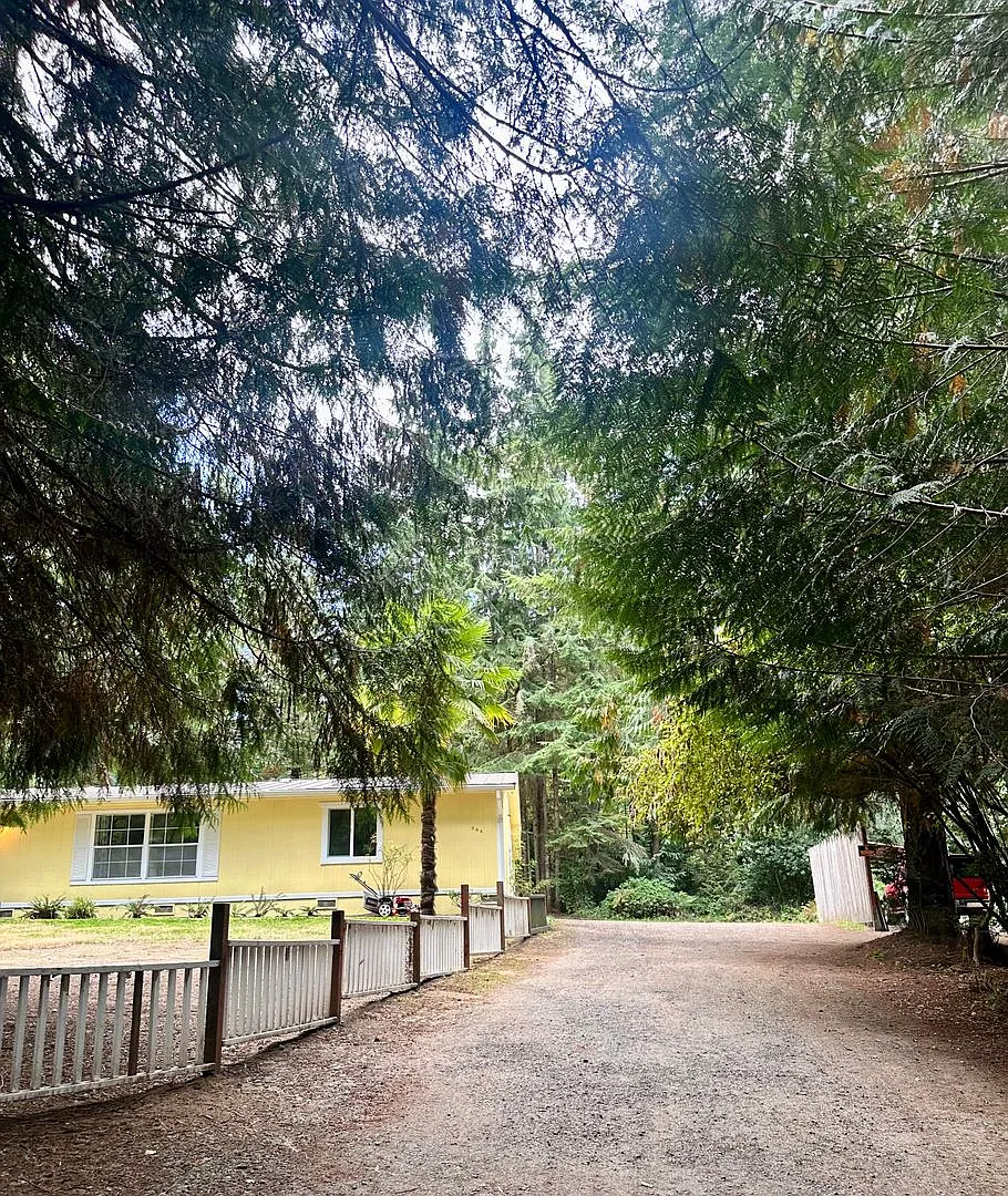 Private Poulsbo Woodsy Home — Photo 2