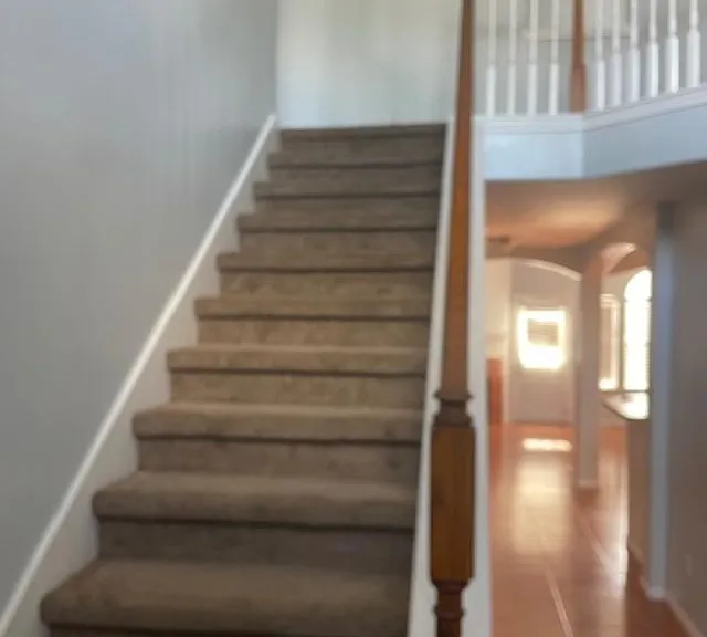 2219 Beacon Light Ln — Photo 4